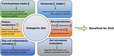 Frontiers Ketogenic diet a potential adjunctive treatment for